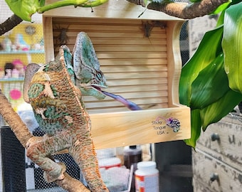 automatic cricket feeder