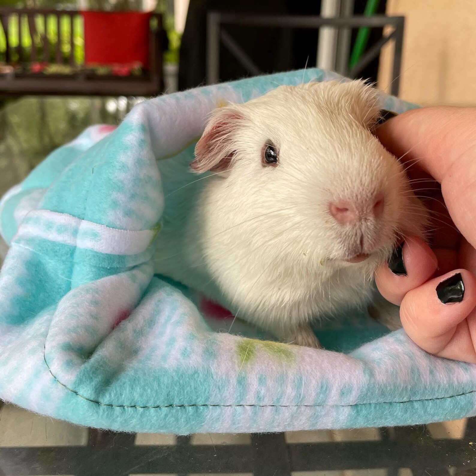 Happy jungle guinea pig snuggle sack large handmade fleece Etsy