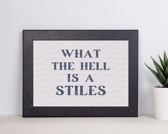Teen Wolf Poster, What The Hell Is A Stiles Quote, Stiles Stilinski, Lydia Martin, Wall Art Room Decor, Gift For Teen Wolf Fan, Stydia Merch