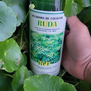 Ruda / Rueda Cleansing 7 Day Candle