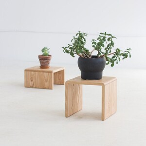 Low long table for hot sale plants