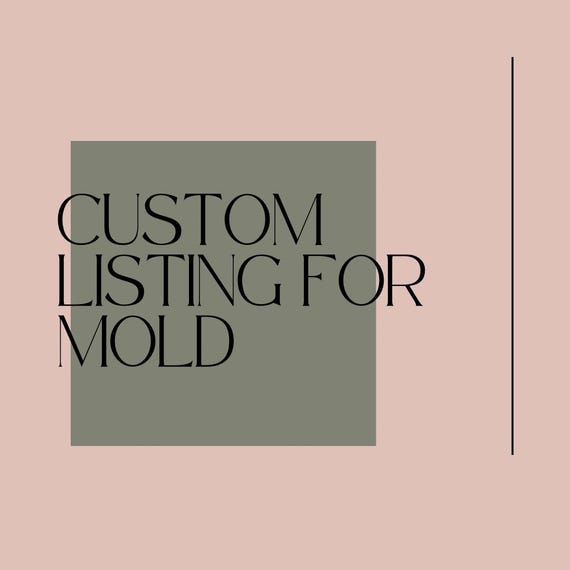 Custom mold car freshie car freshie mold freshie housing silicone molds molds for aroma beads aroma beads car freshie