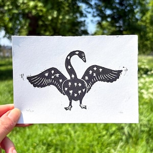 May include: A black and white linocut print of a swan with outstretched wings, adorned with star-shaped details. The artwork is on white paper, held against a backdrop of green grass and foliage. The print is numbered 4/20.