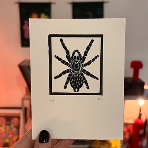 Mini Spider /tarantula Lino Cut Print - Original Handprinted on A6 - Etsy