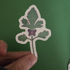 Cilantro Alastor Vinyl Sticker