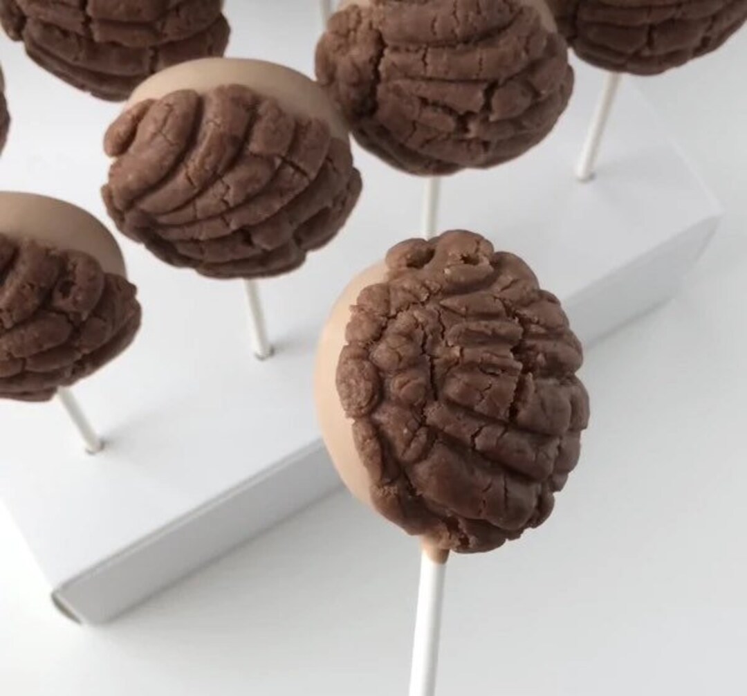 Concha Silicone Mold Etsy