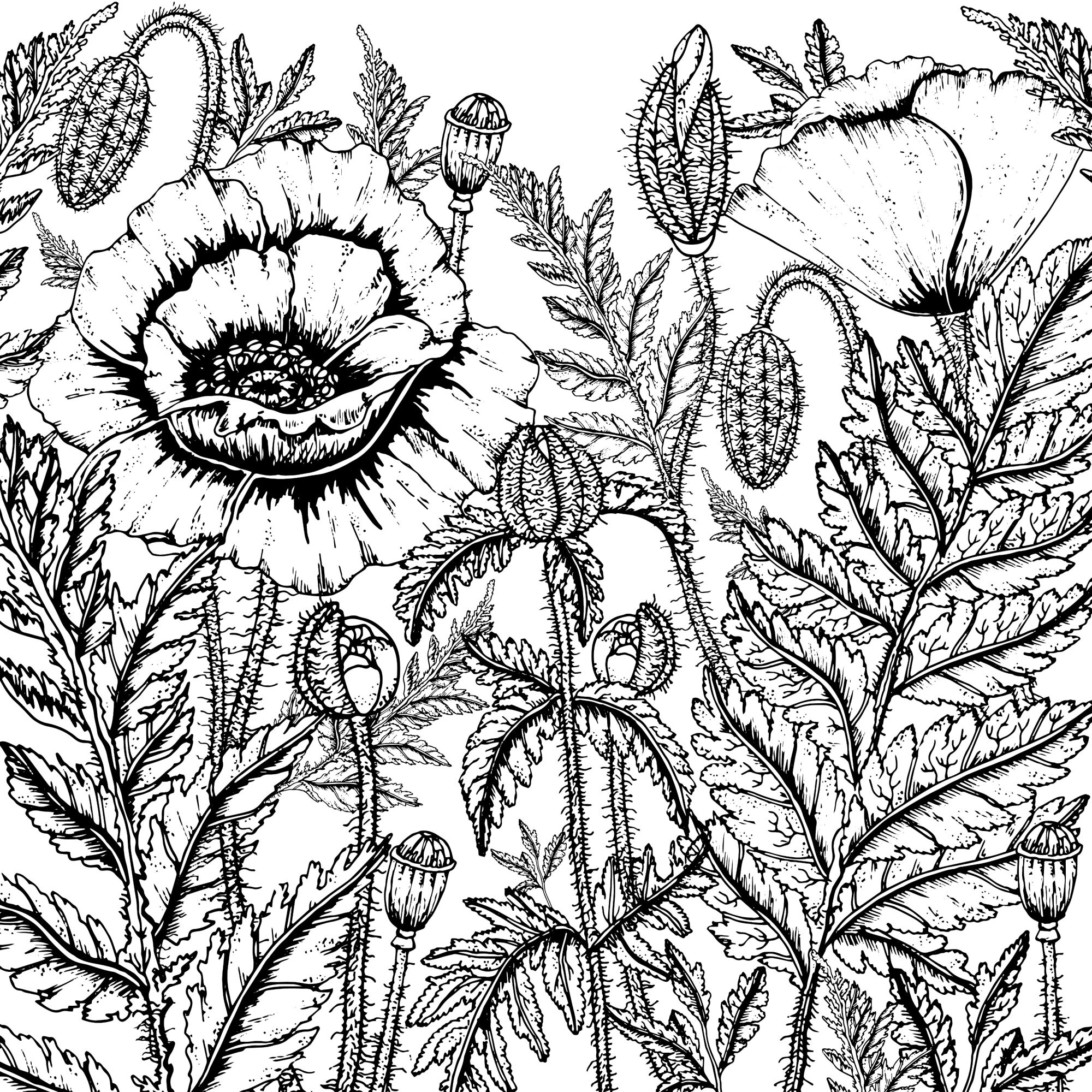 Floral Coloring Pages For Adults | Etsy