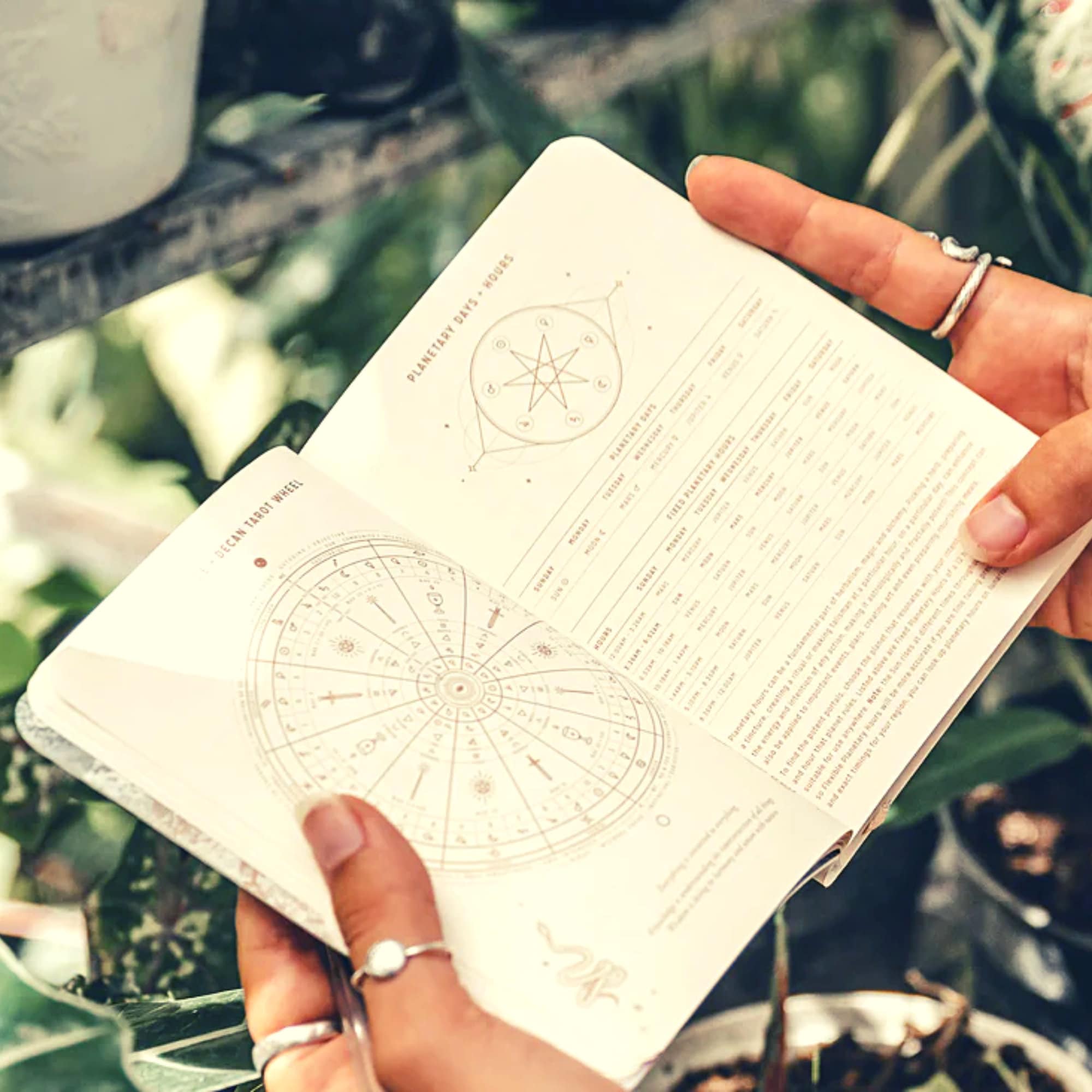 2025 Astrological Pocket Planner Daily Moon, Zodiac Signs, Retrogrades