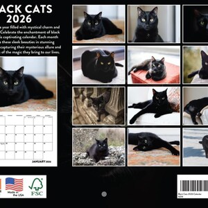2026 Wandkalender Schwarze Katze: Katzen Kunst, Mondphasen - Made in USA Bild 2