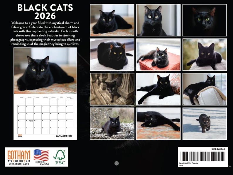 2026 Wandkalender Schwarze Katze: Katzen Kunst, Mondphasen - Made in USA Bild 2