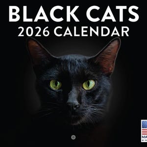 2026 Wandkalender Schwarze Katze: Katzen Kunst, Mondphasen - Made in USA Bild 1