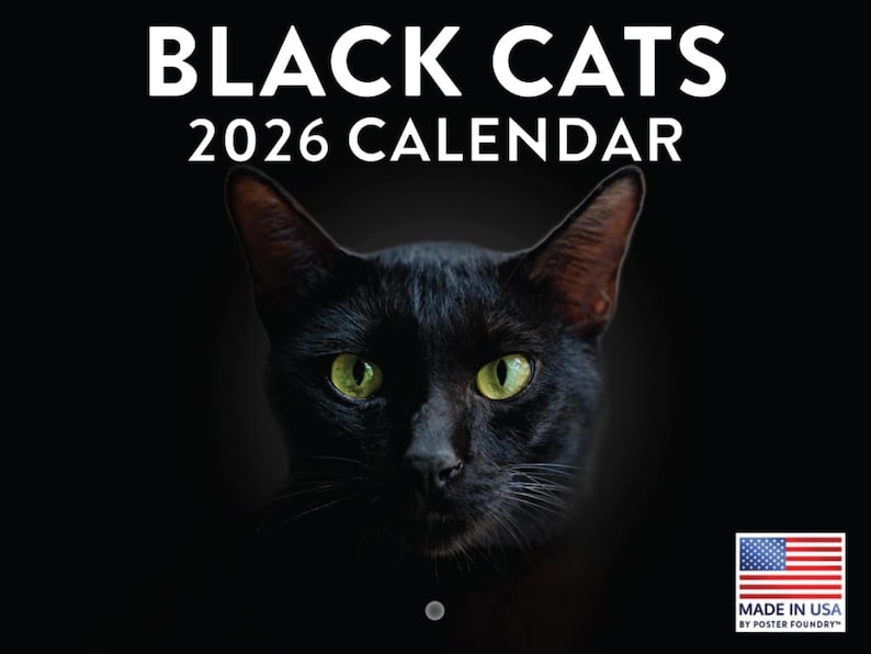 2026 Wandkalender Schwarze Katze: Katzen Kunst, Mondphasen - Made in USA Bild 1