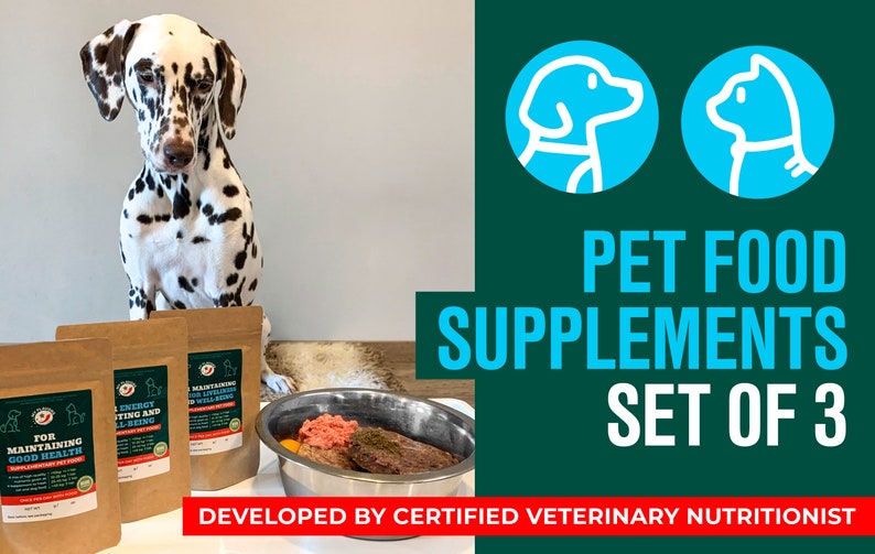 homemade dog supplements