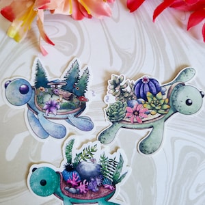 Schildkröten-Aufkleber-Pack/3 niedliche Schildkröten-Designs/Sammlung/wasserfest/glänzende Oberfläche/Die niedlichen Schildkröten-Aufkleber