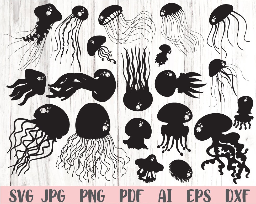 Jellyfish Bundle Svg Jellyfish Svg Jellyfish Silhouette Svg Etsy