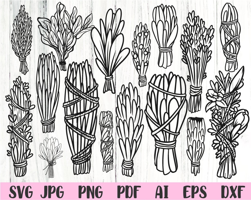 Smudge Stick Herbs Svg Herb Svg Smudge Stick Svg Svg Files for Etsy