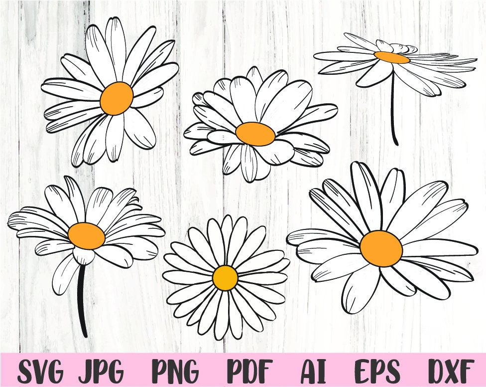 Daisy Svg Flower Svg Floral Svg Svg Files for Cricut Instant - Etsy ...