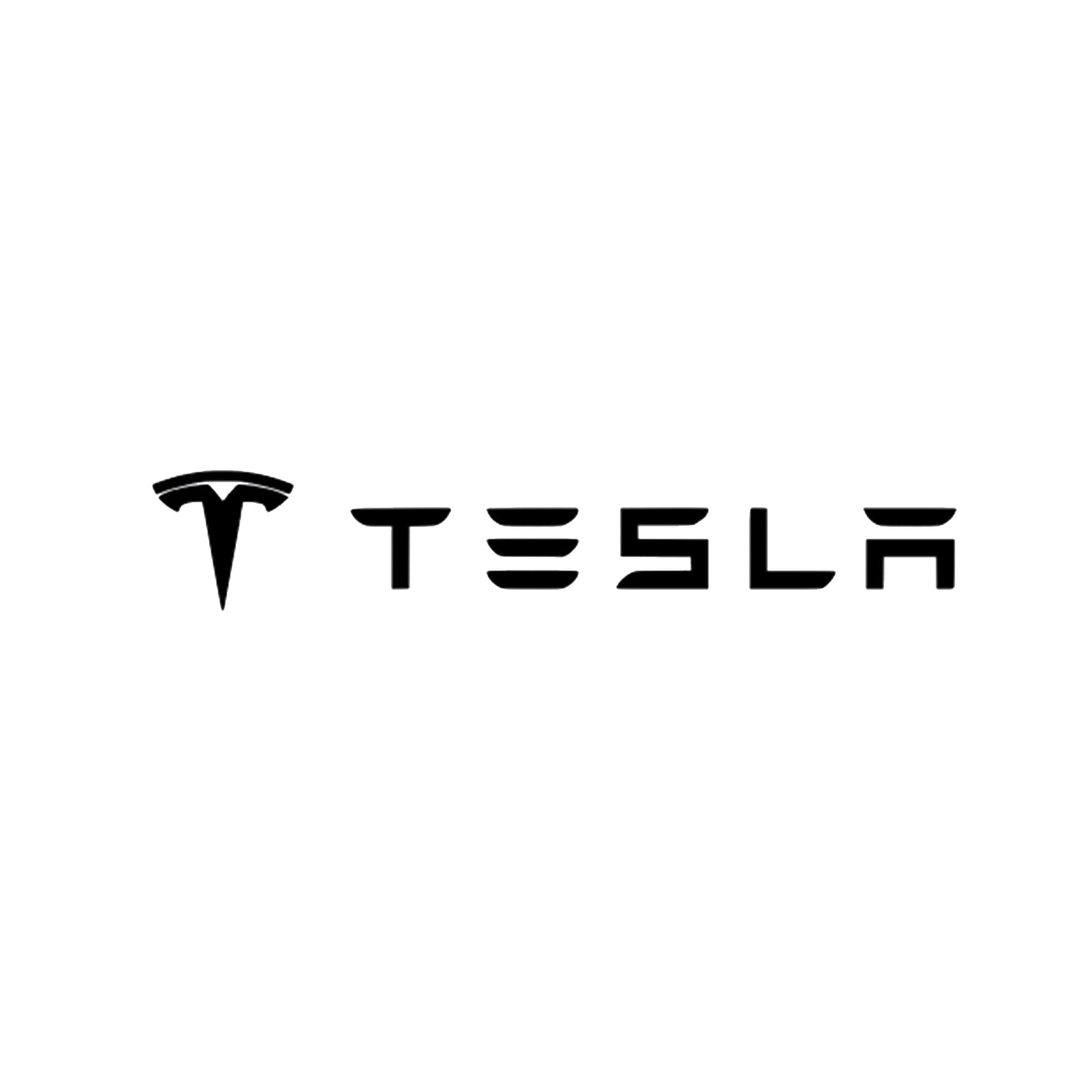 Tesla | Horizontaal | Logo | Sticker