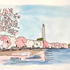 May include: Watercolor painting of the Washington Monument and cherry blossoms. The artwork depicts a serene scene with pink blossoms, a blue sky, and the monument reflected in the water.