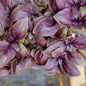 May include: A set of three ceramic mugs with a speckled, matte finish. The mugs are in shades of cream, light gray, and dark gray. Each mug has a simple, minimalist design, perfect for coffee or tea.