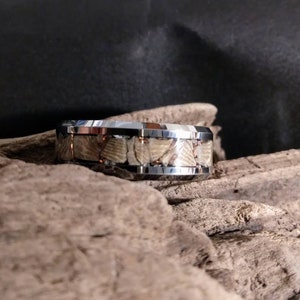 Pu&ograve; includere: Un anello d'argento e bianco con una fascia di materiale fossilizzato. L'anello &egrave; su un pezzo di legno alla deriva.