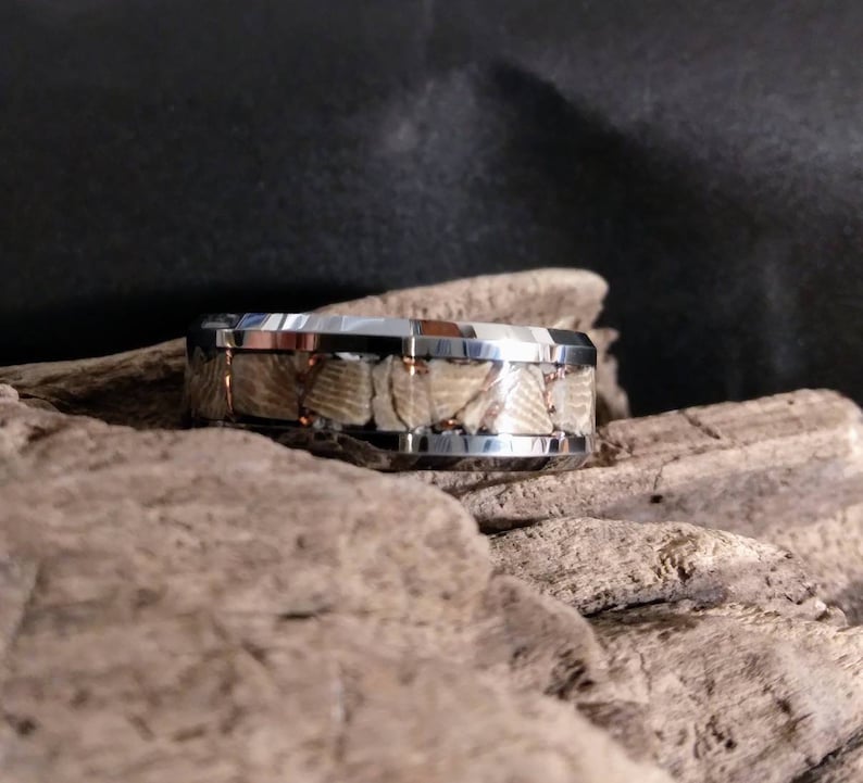 Pu&ograve; includere: Un anello d'argento e bianco con una fascia di materiale fossilizzato. L'anello &egrave; su un pezzo di legno alla deriva.