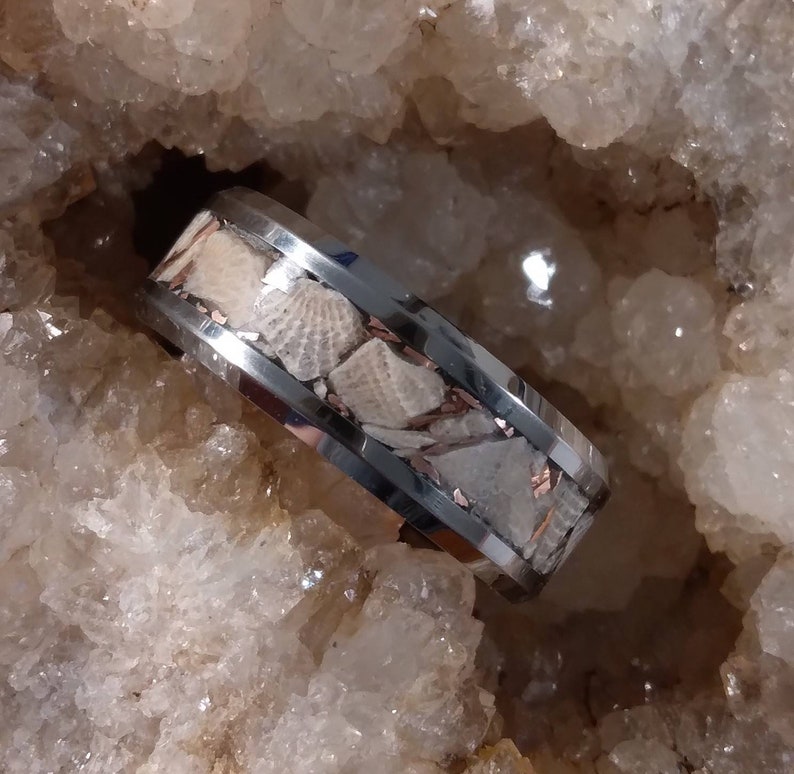 Pu&ograve; includere: Un anello d'argento con una fascia di conchiglie fossilizzate incastonate in un metallo color rame. L'anello &egrave; posto su uno sfondo di cristalli bianchi.