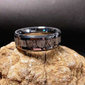 Pu&ograve; includere: Un anello in carburo di tungsteno argentato con una fascia di osso di dinosauro fossilizzato. L'anello ha un bordo smussato e una finitura lucida.