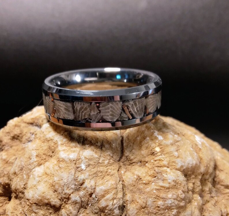 Pu&ograve; includere: Un anello in carburo di tungsteno argentato con una fascia di osso di dinosauro fossilizzato. L'anello ha un bordo smussato e una finitura lucida.