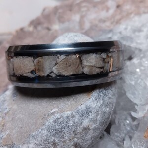 Pu&ograve; includere: Un anello in carburo di tungsteno nero con una fascia di intarsi di conchiglia fossilizzata. L'anello ha una finitura lucida e un bordo smussato.