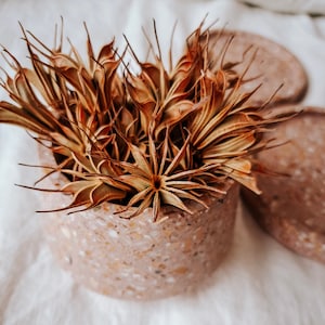 Op de afbeelding: Een terracottakleurige terrazzo-pot met een bos gedroogde bruine bloemstelen erin.