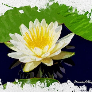 Digital Download Printable Art Digital Printable Wall Art Printable Art Watercolor Digital Water Lily