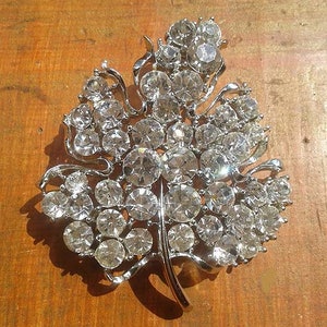 May include: A silver-toned brooch shaped like a leaf with a cluster of clear rhinestones.