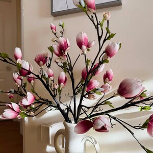 May include: A bouquet of pink and white magnolia flowers in a white vase. The flowers are arranged in a vase with a rustic, farmhouse style.