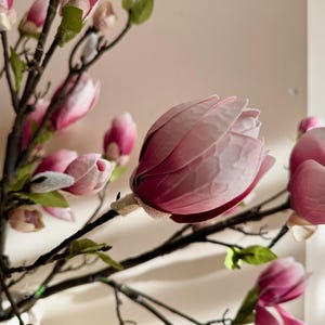 May include: A bouquet of pink magnolia flowers with delicate petals and a light pink hue. The flowers are arranged on a branch with dark brown stems.