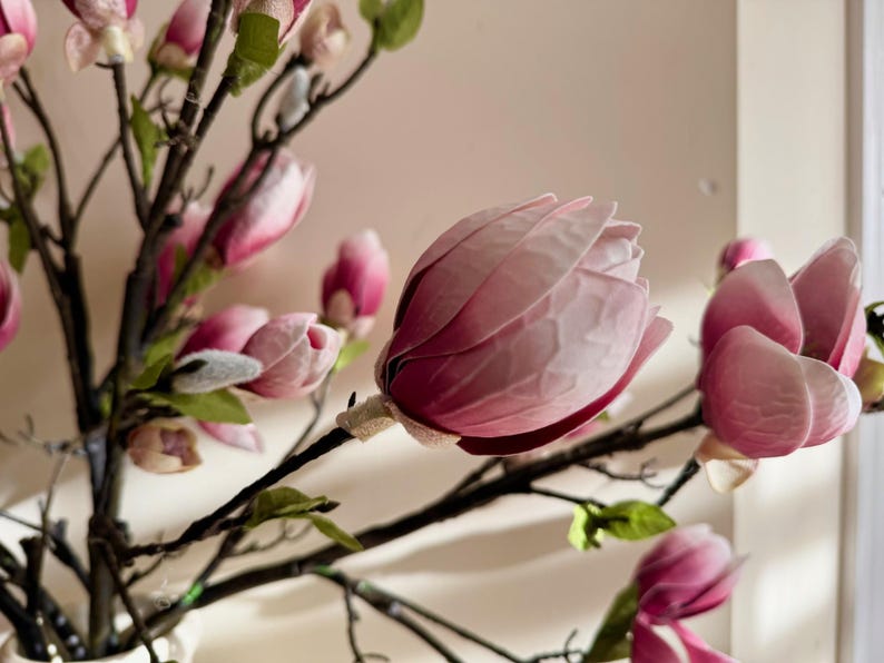 May include: A bouquet of pink magnolia flowers with delicate petals and a light pink hue. The flowers are arranged on a branch with dark brown stems.
