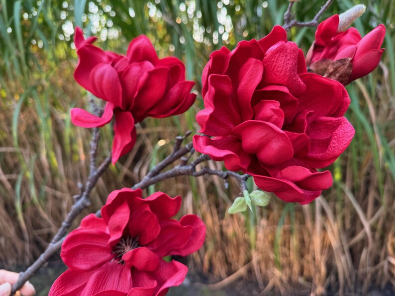 Magnolia Flowers Faux, High Quality Realistic Flowers, Silk Flower Long