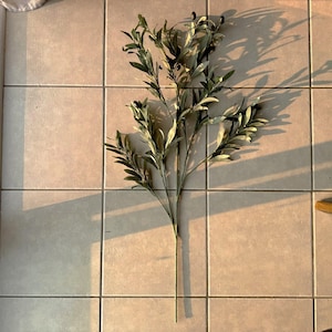 May include: A single artificial olive branch with green leaves and small black olives. The branch is lying flat on a light brown tiled floor.