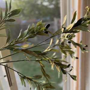 May include: A close-up of a green olive branch with small black olives. The branch is in front of a window with a blurred background.