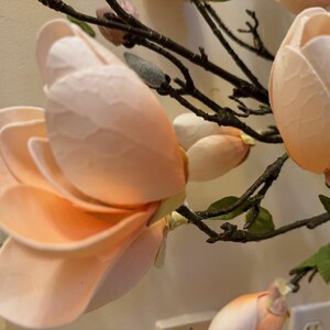 May include: A close-up of a delicate peach-colored magnolia flower with multiple layers of petals. The flower is part of a floral arrangement with other magnolia blossoms and brown branches.