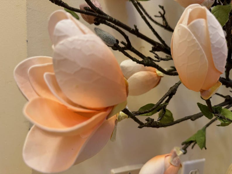 May include: A close-up of a delicate peach-colored magnolia flower with multiple layers of petals. The flower is part of a floral arrangement with other magnolia blossoms and brown branches.