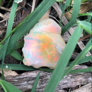 Puede incluir: Un &oacute;palo blanco rugoso con colores arco&iacute;ris iridiscentes, anidado en hierba verde y astillas de madera marr&oacute;n.