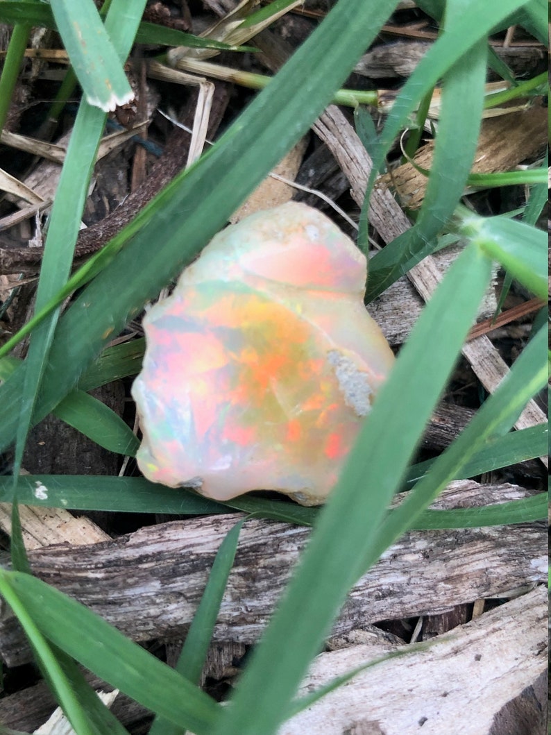 Puede incluir: Un &oacute;palo blanco rugoso con colores arco&iacute;ris iridiscentes, anidado en hierba verde y astillas de madera marr&oacute;n.