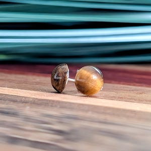 May include: A pair of stud earrings featuring round, polished tiger's eye gemstones with characteristic golden-brown chatoyancy and dark brown banding, set on silver-toned metal posts. The stones exhibit a smooth, domed surface with a reflective finish.