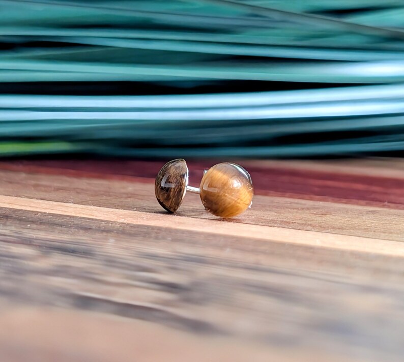 May include: A pair of stud earrings featuring round, polished tiger's eye gemstones with characteristic golden-brown chatoyancy and dark brown banding, set on silver-toned metal posts. The stones exhibit a smooth, domed surface with a reflective finish.