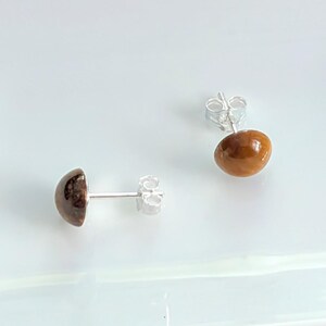 May include: A pair of stud earrings featuring smooth, rounded, polished brown stones set on silver posts with matching silver butterfly backings. The stones exhibit a glossy finish with subtle variations in deep brown and amber tones.