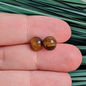 May include: A pair of round stud earrings featuring polished tiger's eye gemstones. Each stone displays a chatoyant golden-brown color with dark brown banding and a smooth, domed surface. The earrings are small, circular, and exhibit a reflective luster.