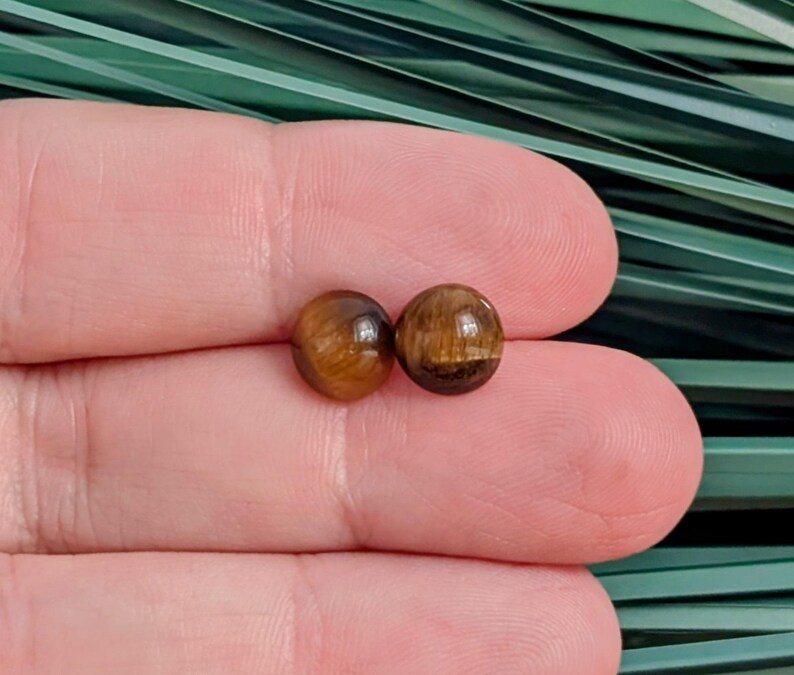 May include: A pair of round stud earrings featuring polished tiger's eye gemstones. Each stone displays a chatoyant golden-brown color with dark brown banding and a smooth, domed surface. The earrings are small, circular, and exhibit a reflective luster.