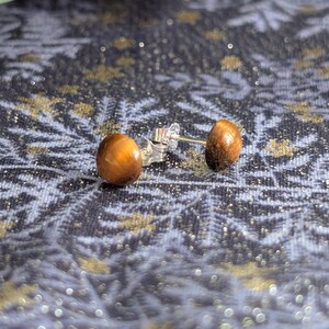 May include: A pair of stud earrings featuring round, polished tiger's eye gemstones with a chatoyant golden-brown luster. The stones are set on silver-toned metal posts with matching butterfly clutch backings, displaying a smooth, domed surface.