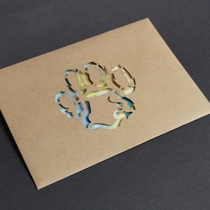 High quality kraft paper envelopes, motif paw